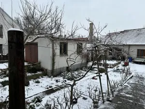 Dražba - jiné, Brandýs nad Labem-Stará Boleslav, Průhon, 115 m2
