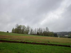 Prodej bytu 2+1, Dolní Poustevna, 53 m2