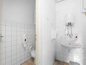 Pronájem komerční nemovitosti, Pardubice, Husova, 371 m2