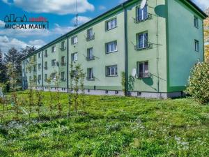 Prodej bytu 3+1, Hranice, Nová, 71 m2