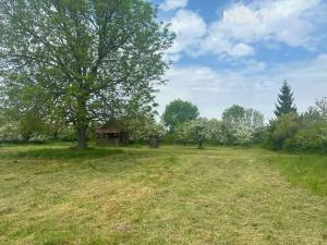 Prodej pozemku pro bydlení, Běchary, 2024 m2