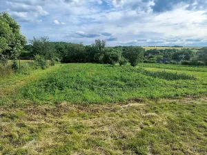 Prodej rodinného domu, Neuměřice, 151 m2