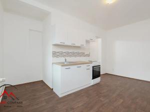Pronájem bytu 1+1, Ostrava, Palackého, 45 m2