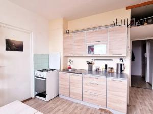 Pronájem bytu 3+1, Brno, Herčíkova, 66 m2