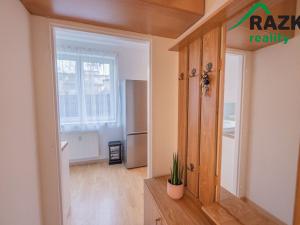Pronájem bytu 1+kk, Planá, Bohušova, 30 m2