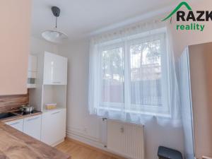 Pronájem bytu 1+kk, Planá, Bohušova, 30 m2