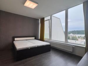 Pronájem bytu 2+kk, Brno, Vinařská, 55 m2