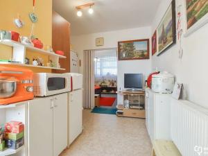 Prodej bytu 1+kk, Sobotín, 46 m2