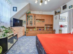Prodej bytu 1+kk, Sobotín, 46 m2