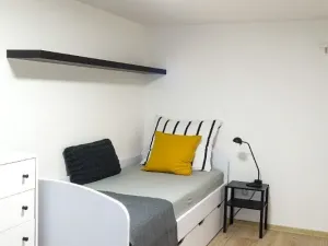 Pronájem bytu 1+kk, Brno, Koliště, 28 m2