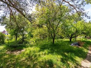 Prodej zahrady, Strakonice, 746 m2