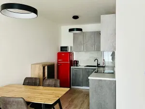 Pronájem bytu 2+kk, Praha - Karlín, Nekvasilova, 56 m2