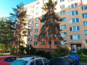 Pronájem bytu 1+1, Plzeň - Bolevec, Kralovická, 31 m2