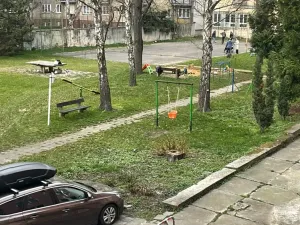 Pronájem bytu 2+1, Přerov, Bratrská, 52 m2