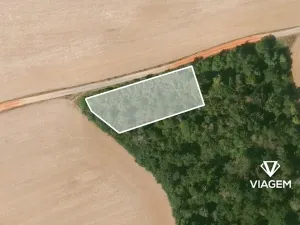 Prodej lesa, Lisov, 2042 m2