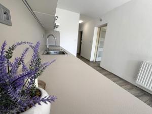 Prodej rodinného domu, Hrušovany u Brna, Masarykova, 110 m2