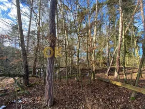 Dražba lesa, Všehrdy, 3720 m2