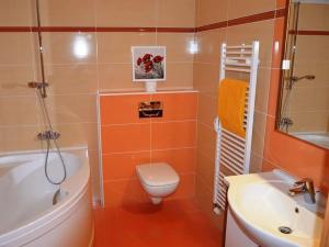 Pronájem bytu 2+kk, Jihlava, Vrchlického, 48 m2