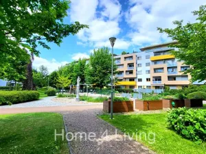 Prodej bytu 1+kk, Brno, Sochorova, 30 m2