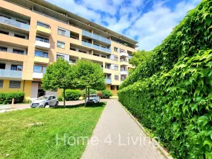 Prodej bytu 1+kk, Brno, Sochorova, 30 m2