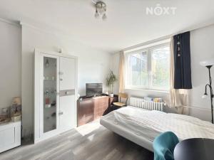 Prodej bytu 1+kk, Praha - Střížkov, Děčínská, 29 m2