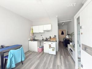 Prodej bytu 1+kk, Praha - Střížkov, Děčínská, 29 m2