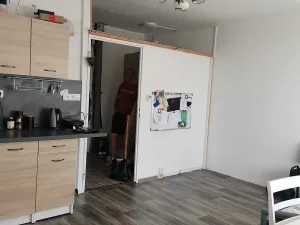 Prodej bytu 1+kk, Plzeň, Sokolovská, 36 m2