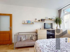 Prodej bytu 2+kk, Praha - Žižkov, Jeseniova, 46 m2