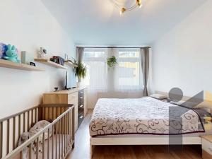 Prodej bytu 2+kk, Praha - Žižkov, Jeseniova, 46 m2