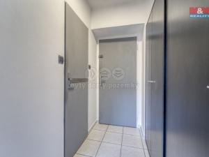 Pronájem kanceláře, Plzeň, Zikmunda Wintra, 44 m2