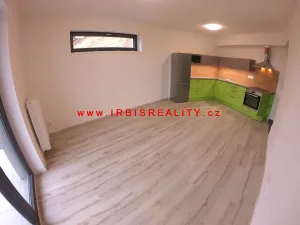 Pronájem bytu 2+kk, Plzeň, Papírnická, 50 m2