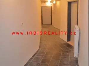 Pronájem bytu 2+kk, Plzeň, Papírnická, 50 m2