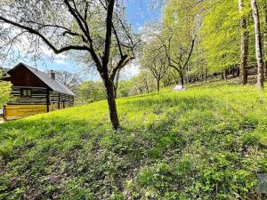 Prodej chalupy, Dobřeň, 150 m2