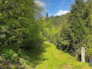 Prodej chalupy, Dobřeň, 150 m2
