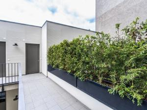 Pronájem bytu 1+1, Praha - Smíchov, Na Valentince, 50 m2