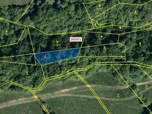 Dražba lesa, Hovězí, 680 m2