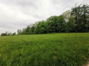 Prodej rodinného domu, Lomnice nad Popelkou, Stružinecká, 777 m2