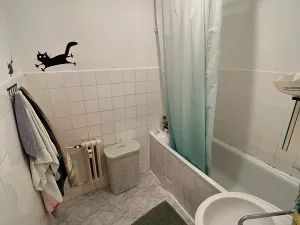 Pronájem pokoje, Praha - Dejvice, Čínská, 20 m2