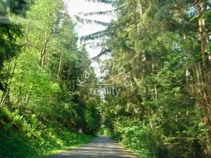 Prodej pozemku pro bydlení, Malšín, 113244 m2