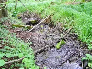Prodej pozemku pro bydlení, Malšín, 113244 m2