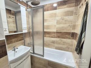 Pronájem bytu 1+kk, Praha - Michle, Mezipolí, 26 m2