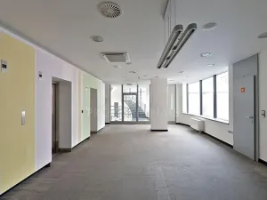 Pronájem komerční nemovitosti, Praha - Nové Město, Vladislavova, 371 m2