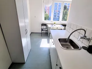 Pronájem bytu 2+1, Brandýs nad Labem-Stará Boleslav, Kralupská, 50 m2