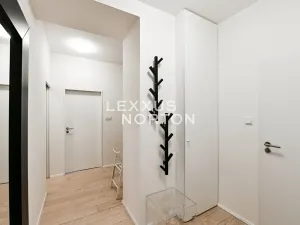 Pronájem bytu 2+kk, Praha - Vinohrady, Lucemburská, 50 m2