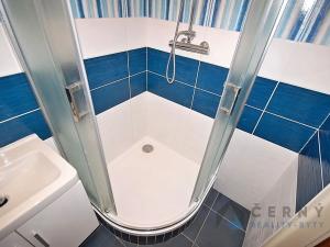 Pronájem bytu 2+1, Liberec, Školní, 52 m2