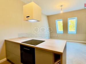 Pronájem bytu 2+kk, Opava - Předměstí, Riegrova, 54 m2