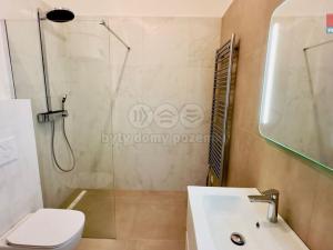 Pronájem bytu 2+kk, Opava - Předměstí, Riegrova, 54 m2