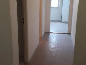 Dražba bytu 3+1, Milovice, Lesní, 113 m2