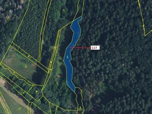 Dražba lesa, Kyje, 1262 m2