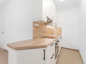 Pronájem bytu 1+kk, Brno - Černovice, Faměrovo náměstí, 29 m2